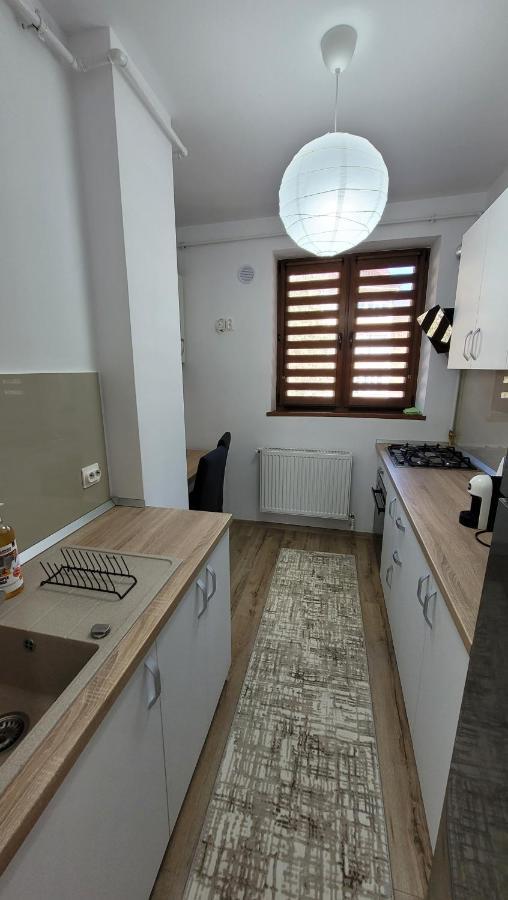 Andy Apartament Petroşani Exterior foto